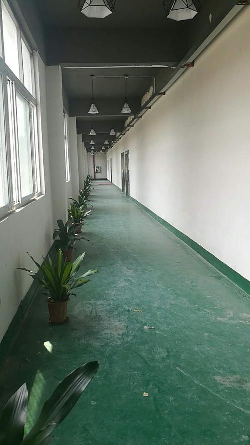 王真宝,公司经营范围包括:投资兴办实业